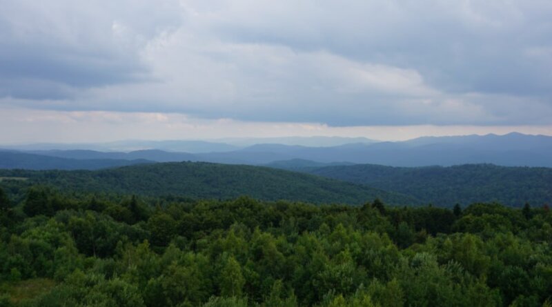 DrogMedia На Дрогобиччині громаді повернули 4 га землі енергетичного призначення