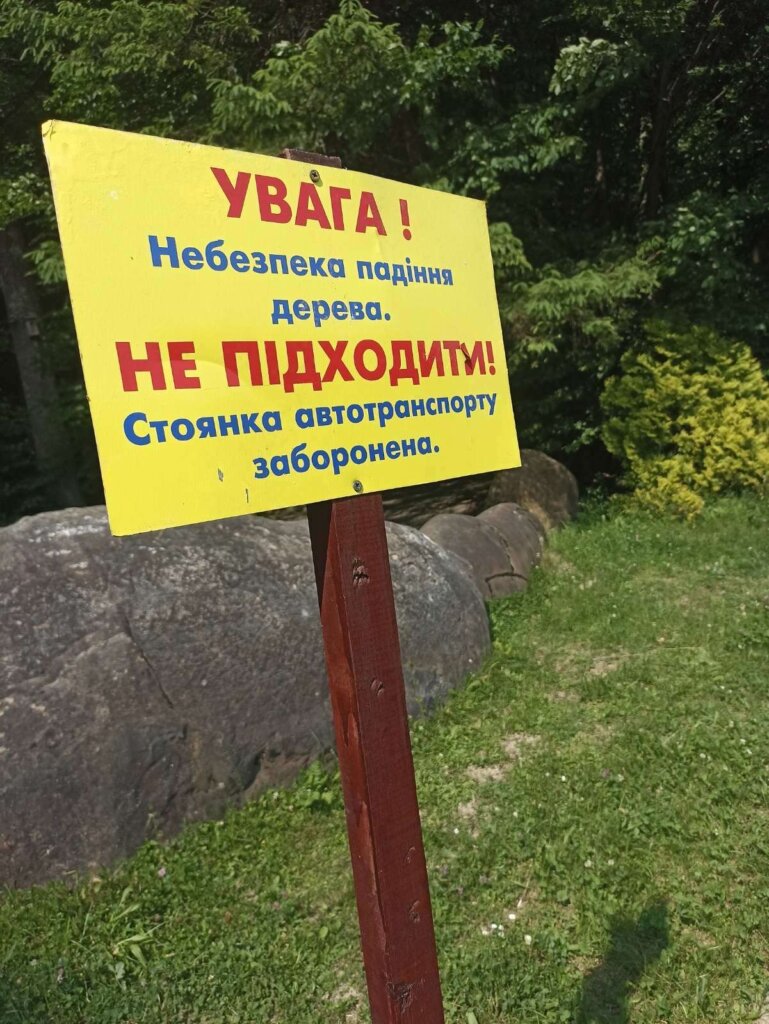 DrogMedia У Нагуєвичах на автобус впав дуб Івана Франка