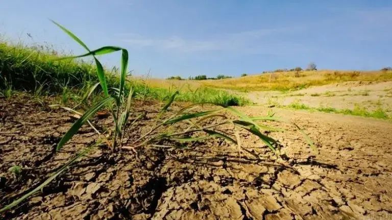 DrogMedia На Дрогобиччині чоловік забруднив с/г землі нечистотами