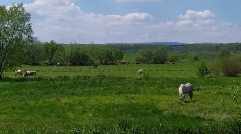 земля село природа