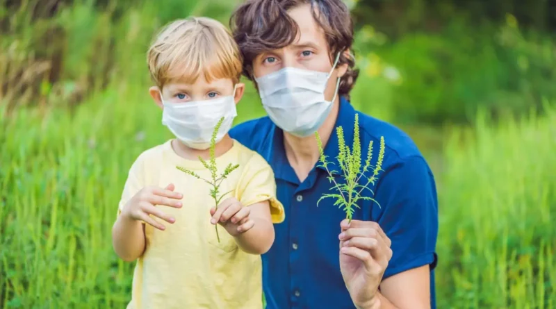 Як полегшити сезонний поліноз