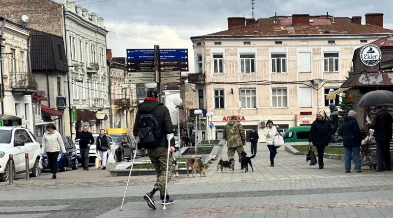 ЗСУ ветеран