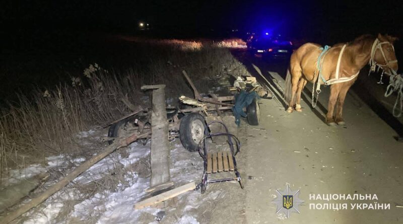 Водій з Дрогобиччини зіткнувся з фірою під Львовом