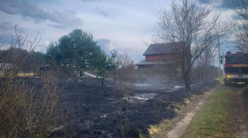Львівщина у вогні: за добу сталося понад два десятки загорянь сухостою