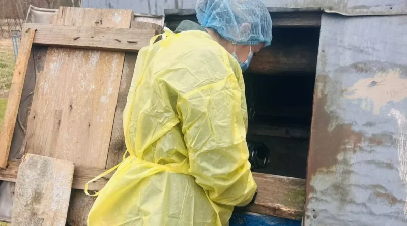 На Дрогобиччині проводять профілактичне знезараження криниць