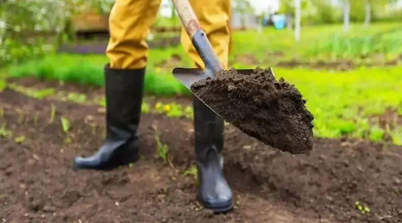 як підготувати город