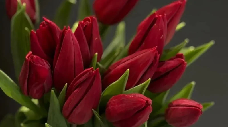 Що пропонує Million Flowers