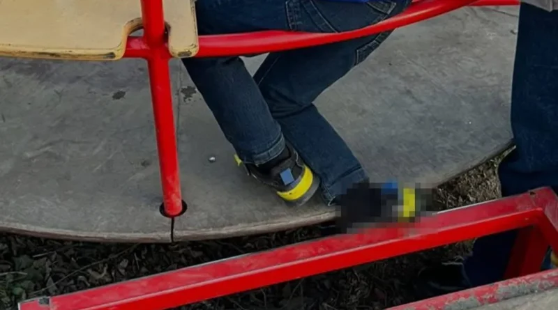 Хлопчика госпіталізували після інциденту на дитячому майданчику в Дрогобичі