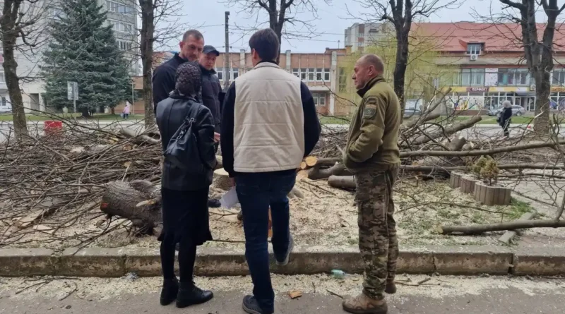 Дрогобичанина притягнули до відповідальності за самовільне зрізання дерева