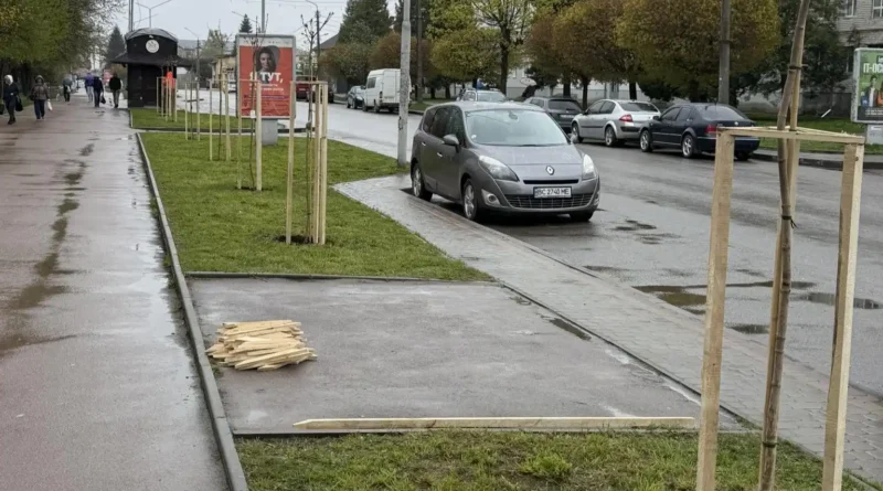 Висадили дерева