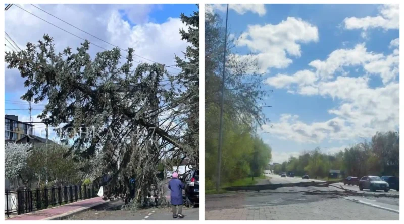 Негода на Львівщині