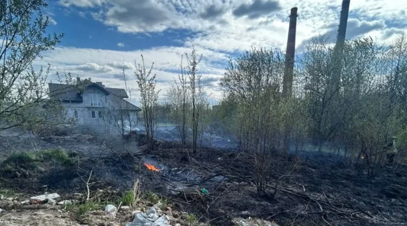 палії