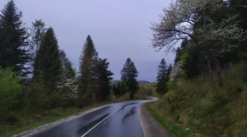 Pogoda