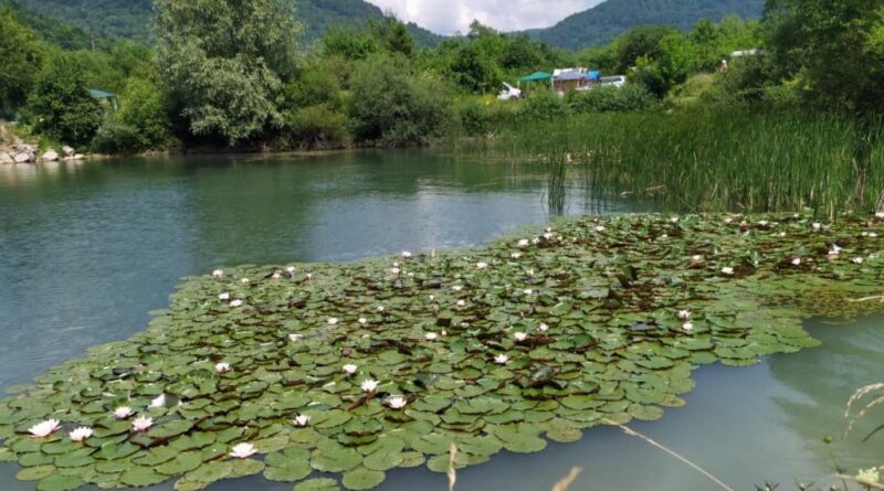 DrogMedia Спека до +35° і без опадів: якою буде погода на Львівщині та в Дрогобичі 27 червня