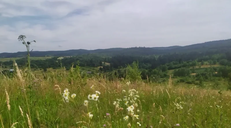 DrogMedia Мінлива хмарність і до +27°: якою буде погода на Львівщині 18 червня