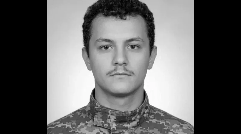 Терленді