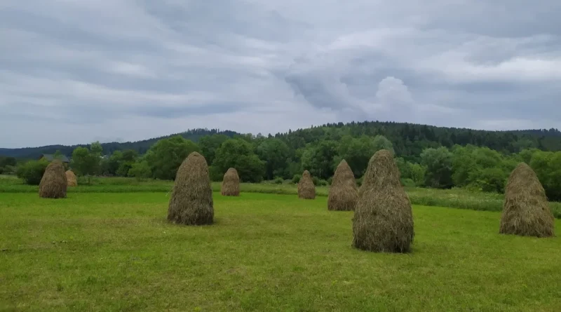 літо, копиці сіна