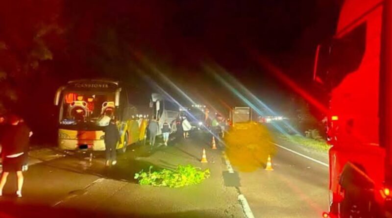 ДТП поблизу Бродів: у смертельній аварії загинув пішохід, водій автобуса — з Дрогобича
