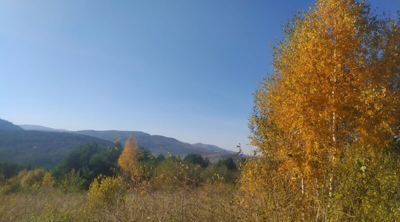 Осінь в Карпатах